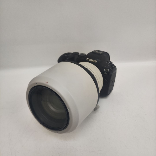 Фотоаппарат CANON  eos r6