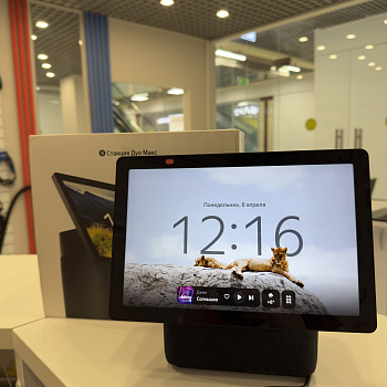 Колонки ЯНДЕКС  дуомакс