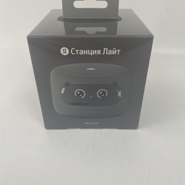 Станция ЯНДЕКС Станция Лайт 2 yndx-00026