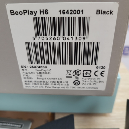Наушники Bang & Olufsen BeoPlay H6