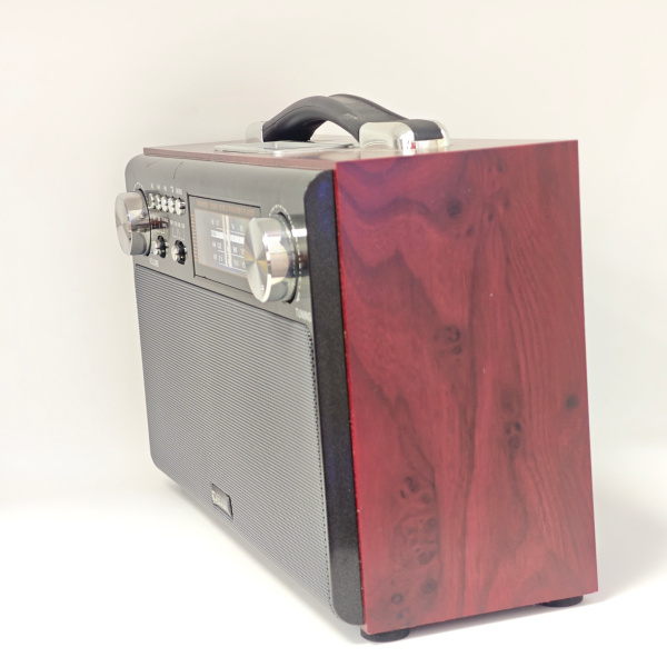 Колонка портативная DEXP  rs850