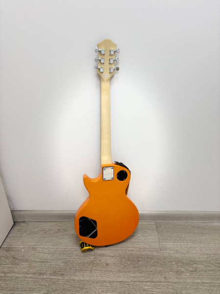 Гитра  tlp-039-yw terris